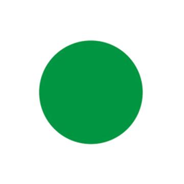 SAFEWARE/安赛瑞 5S管理地贴-圆型，绿色，Ф50mm，15795，10个/包