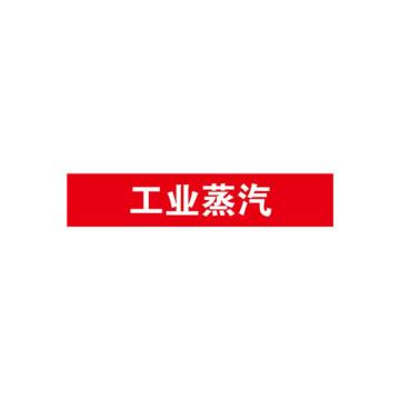 SAFEWARE/安赛瑞 管道标识-工业蒸汽，自粘性乙烯表面覆膜，红底白字，25×125mm，14964，10张/包