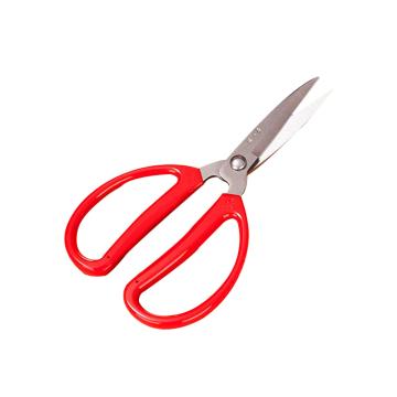 ZhangXiaoQuan/张小泉 家用剪，HBS-174